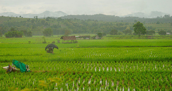 Chiang Rai to Chiang Mai_CMA3635