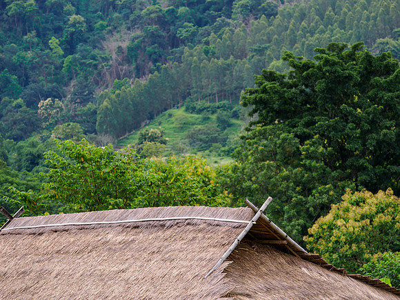 Coffee near Chaing Rai_CMA2574