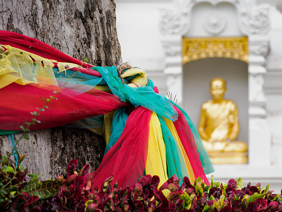 Wat Chedi Luang_CMA2320