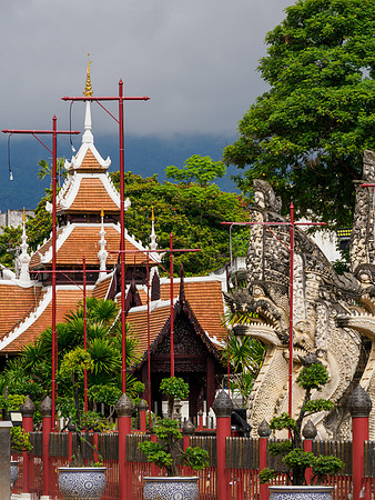 Wat Chedi Luang_CMA2363