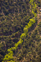 Grand Canyon NP