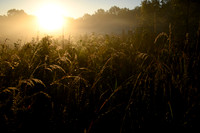 Morning Rays_ANG_5337