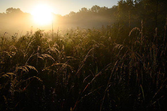 Morning Rays_ANG_5337