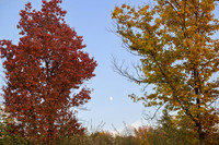 Moonrise__DSC2893
