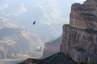Grand Canyon NP