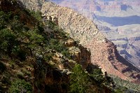 Grand Canyon NP