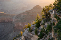 Grand Canyon NP