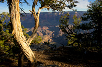 Grand Canyon NP