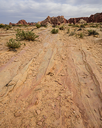 Valley of Fire SP__DSC9189
