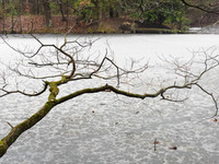 Winter Fog__AMA0476