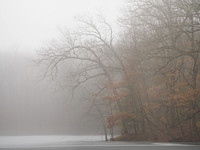 Winter Fog_20240127-_AMA0330-Pano