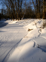 Oak Openings Winter__ANG1312