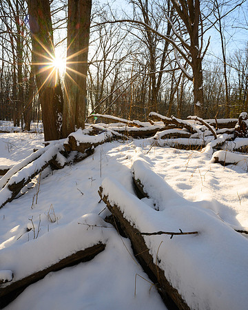 Oak Openings Winter__ANG1357