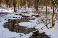 Oak Openings Winter__DSD1263