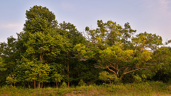Platte River Point, SBDNL__ANE6471